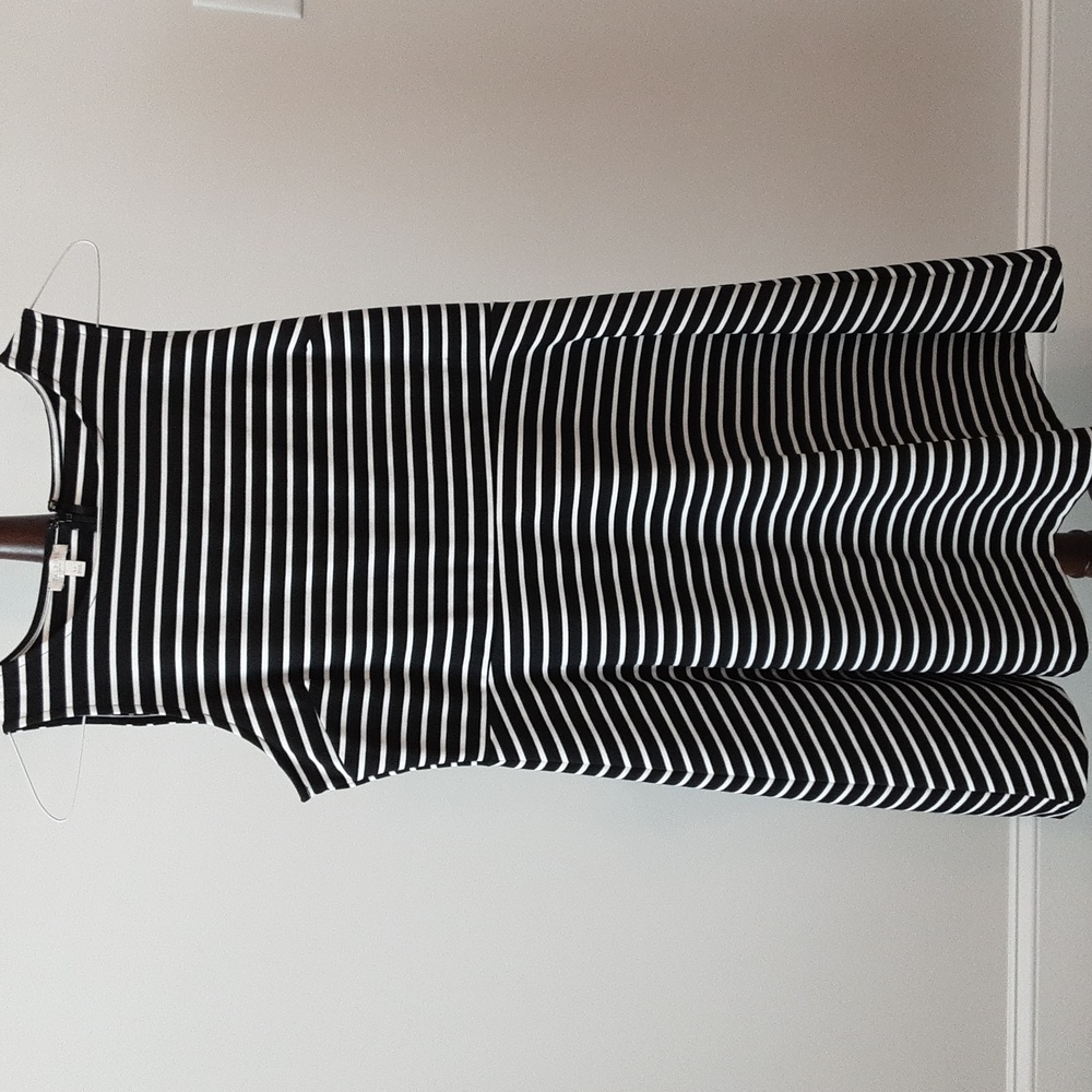 Talbots petite women's dress size large